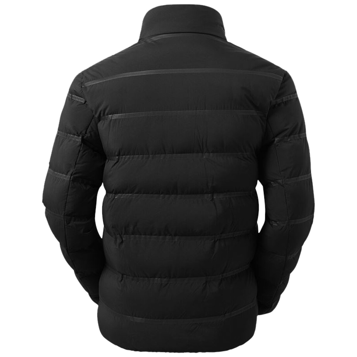 Back